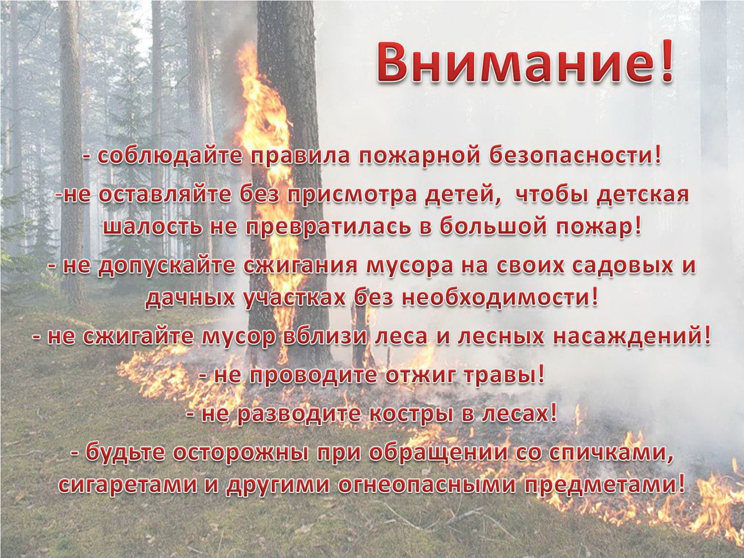 Plakat Pozharnaya bezopasnost v lesu